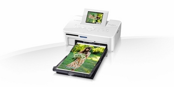Máy in Canon SELPHY CP810 - Máy in ảnh canon cp810